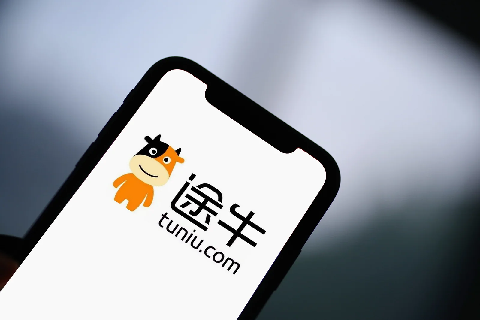 五问途牛：深陷巨亏深渊，距离退市还有多远？