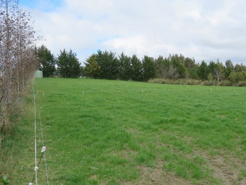 Frew Road, Herbert, Waitaki, 0房, 0浴