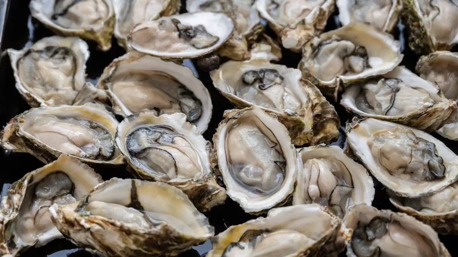 官方警告!北岸这里的海鲜毒素超标,公众切勿采集或食用!