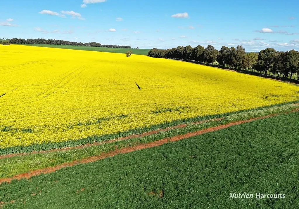 Badgingarra  Wathingarra South - Dandaragan