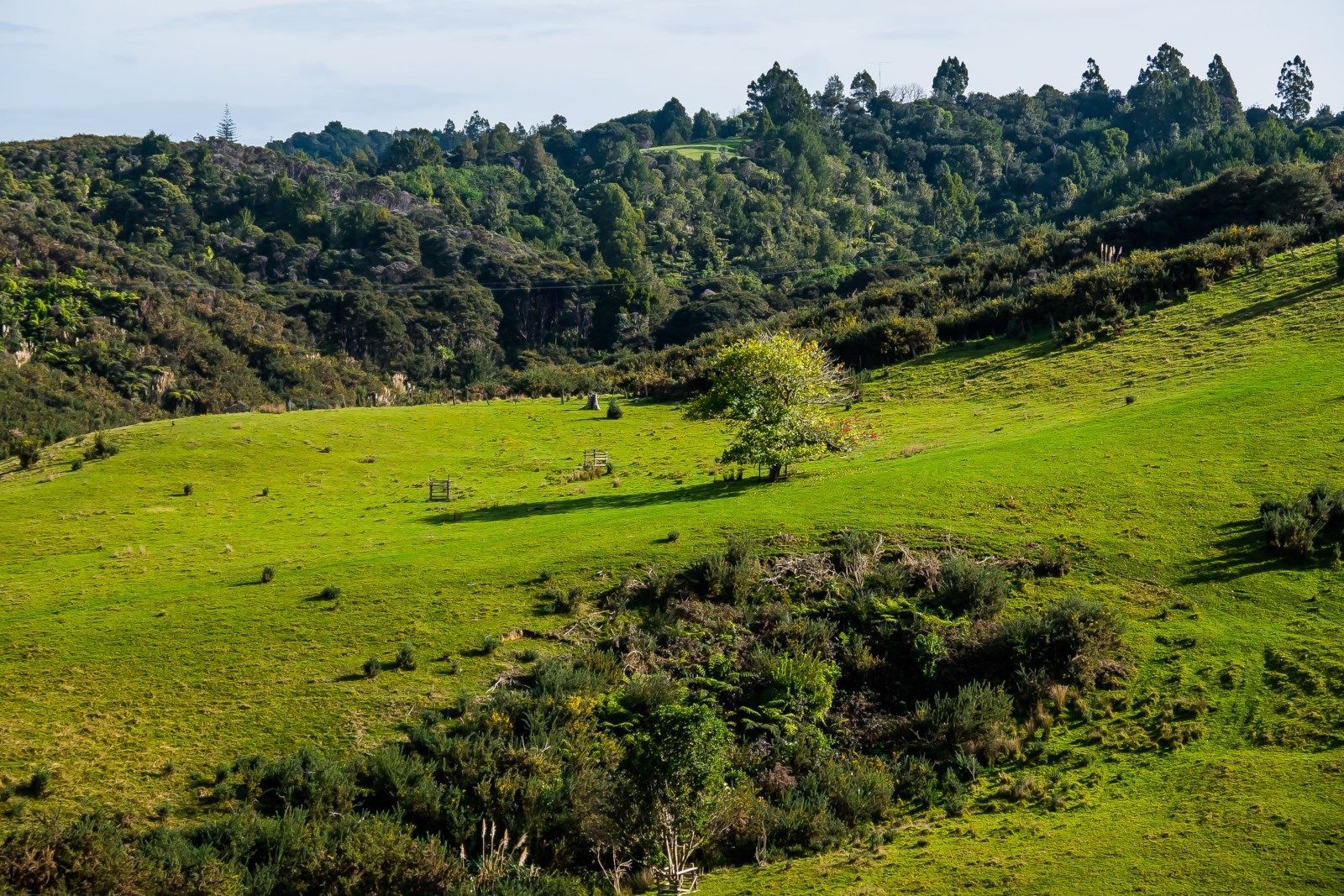 126 Richards Road, Dairy Flat, Auckland - Rodney, 3 Kuwarto, 0 Banyo