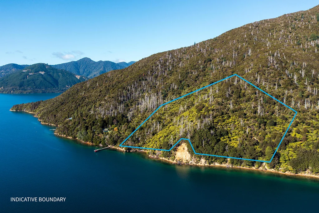 Kenepuru Sound  4ha of Water Front Paradise