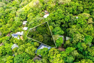 Kamerunga ELEVATED, LEAFY LAND IN A TIGHTLY HELD KAMERUNGA POCKET