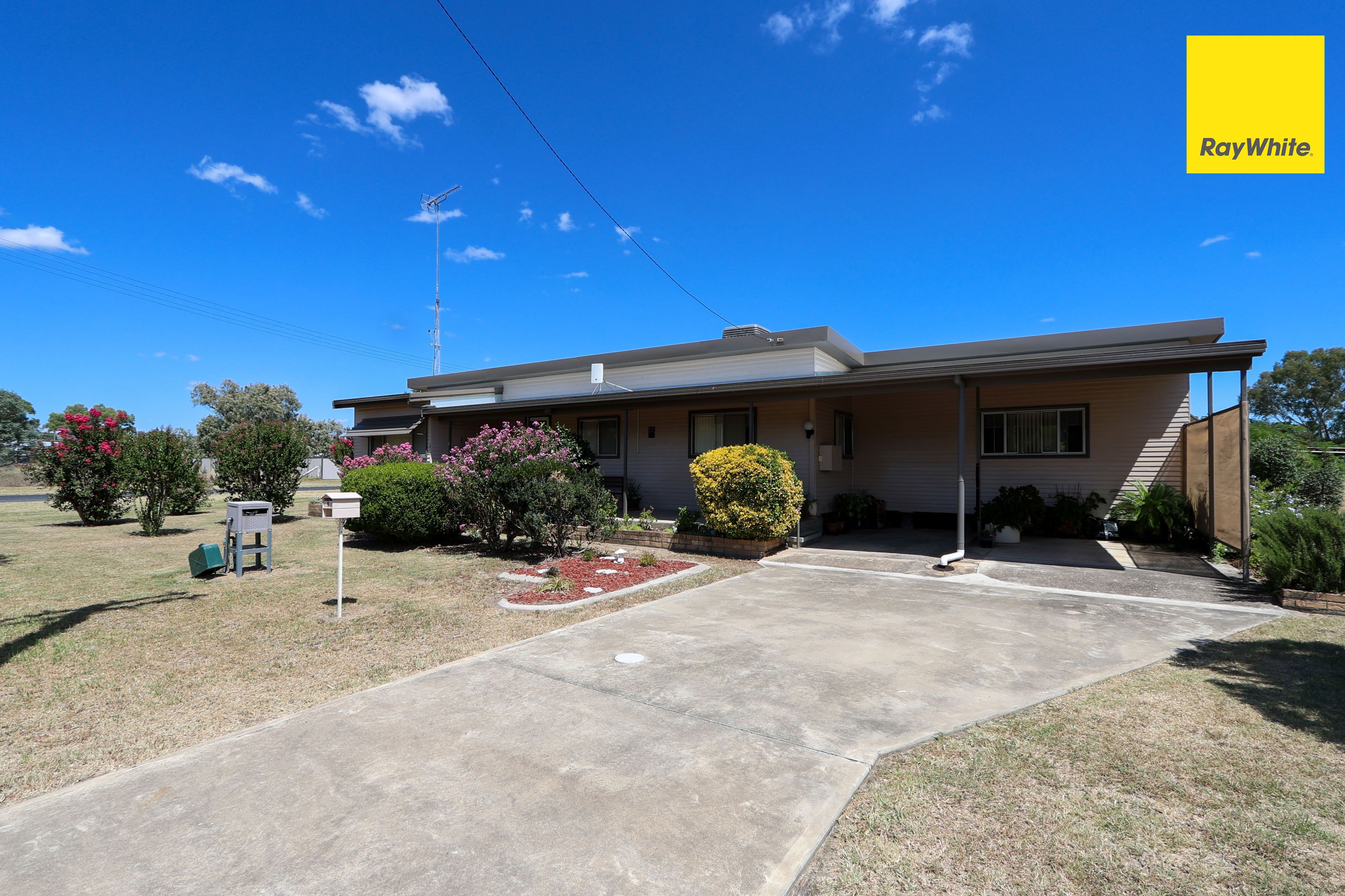 1 ALBURY ST, ASHFORD NSW 2361, 0 phòng ngủ, 0 phòng tắm, House