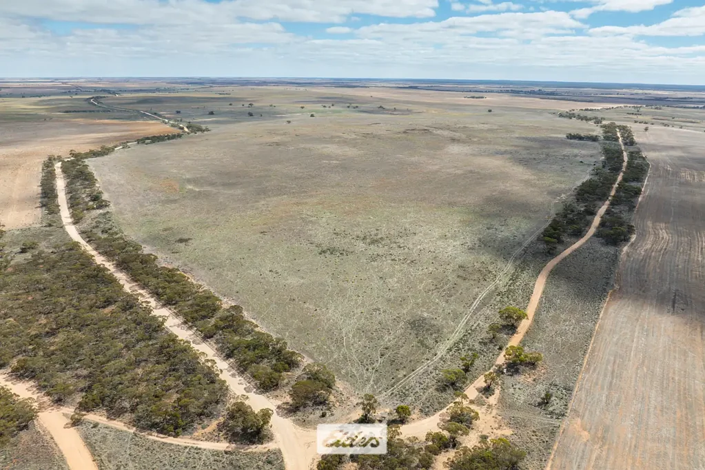 Cowangie  Affordable farming and grazing parcel
