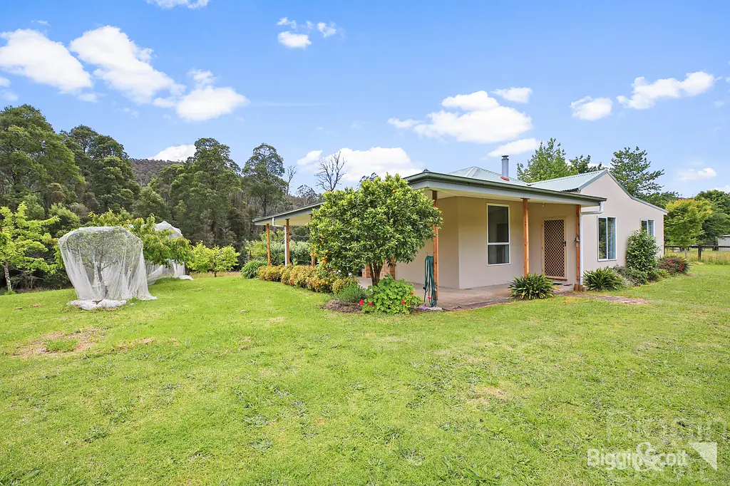 Piedmont A Serene Country Home and Lifestyle On 50 Acres