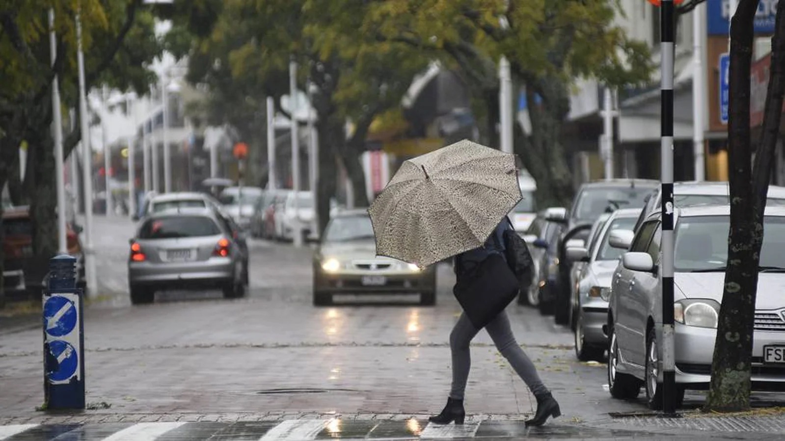 圣诞节先别着急出行，气象局警告：下周新西兰多地将有强阵雨！