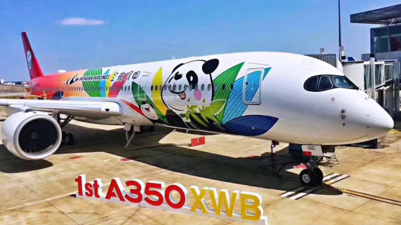喜大普奔！今天，中国这一城市复航直飞奥克兰！7月起，这些赴华班次也将增加