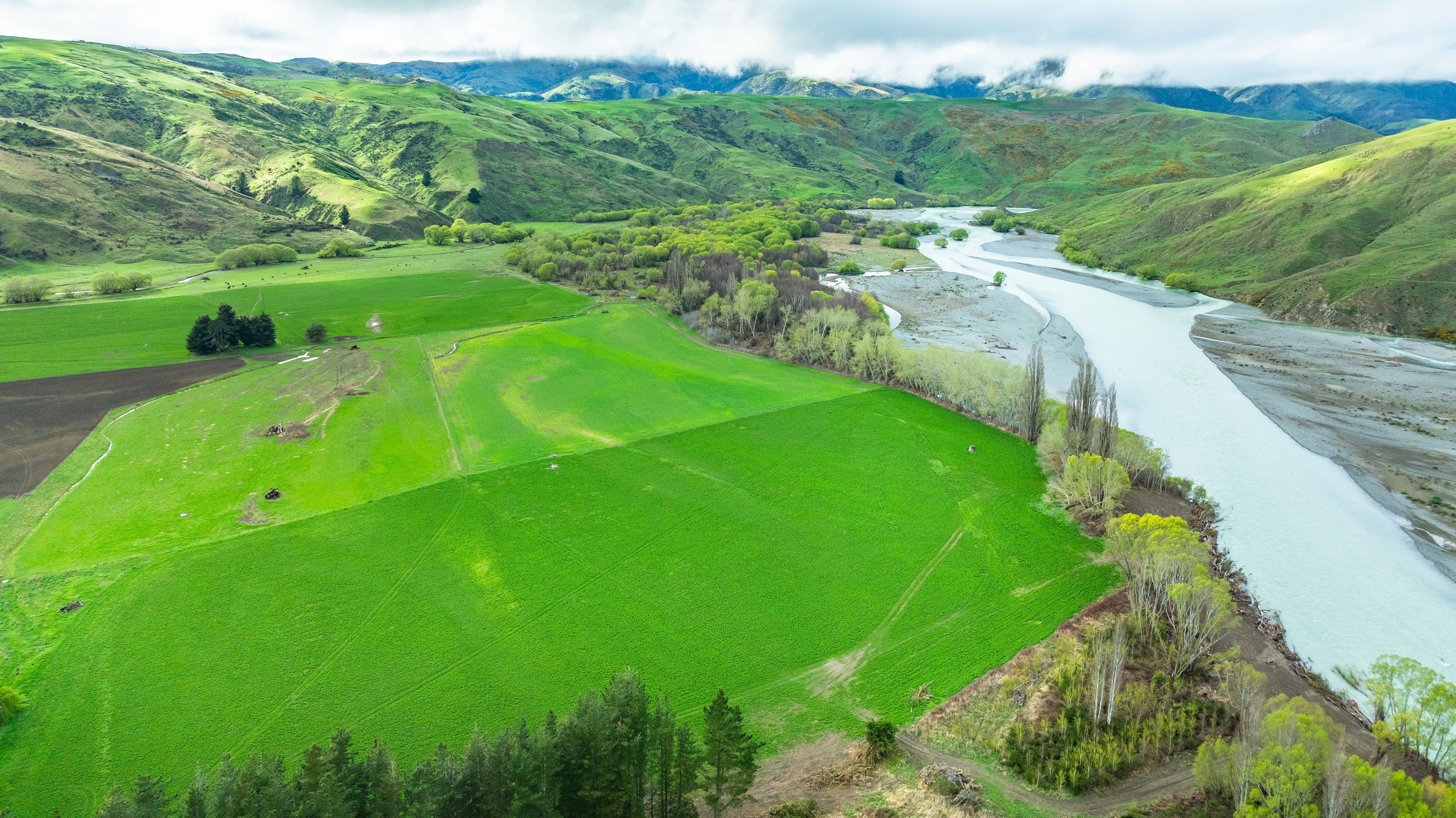 734 Leader Road West, Waiau, Hurunui, 0 રૂમ, 0 બાથરૂમ, Grazing