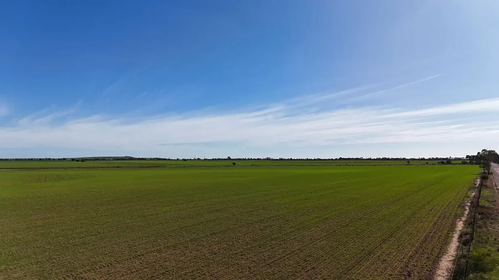 Crystal Brook  Rural Block with Endless Potential