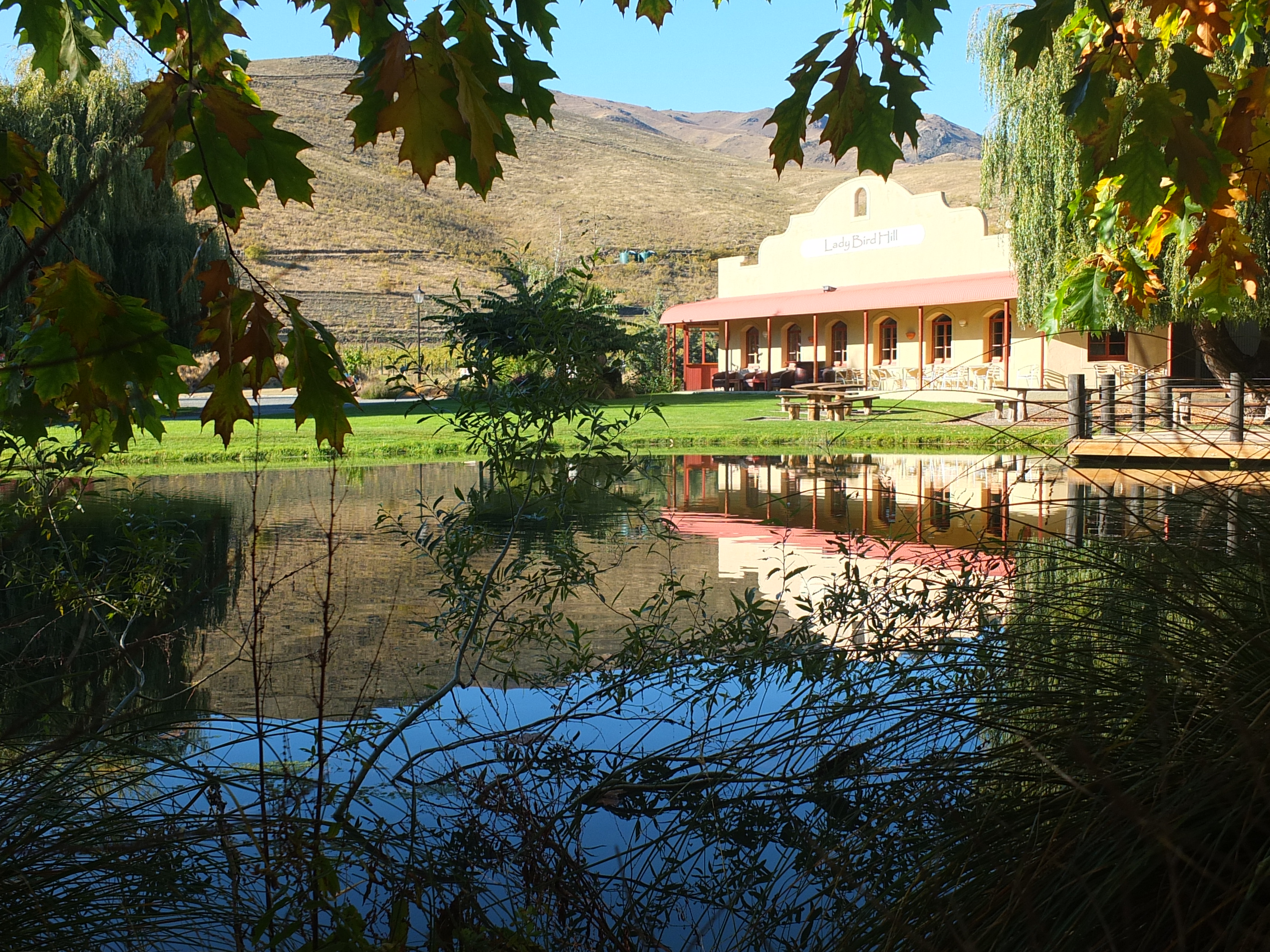 1 Pinot Noir Court, Omarama, Waitaki, 3 rūma, 0 rūma horoi, Lifestyle Property