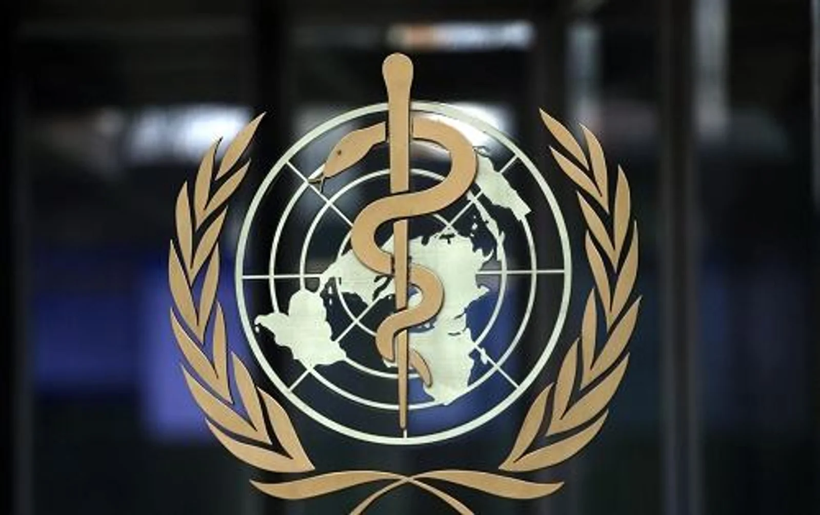 新冠肺炎康复者能否抵御二次感染？世卫：目前未知