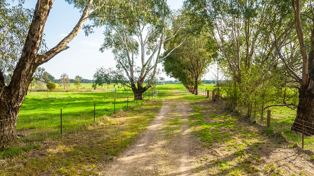 Holbrook "North Jacka", Reliable Grazing Country - Only 5km from Holbrook