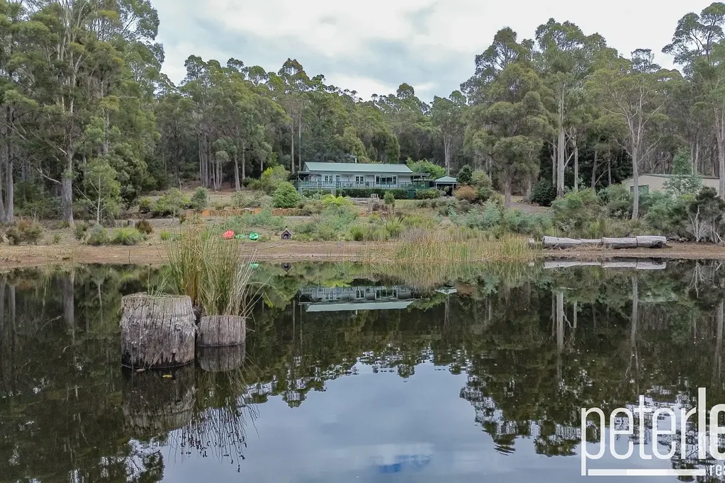 100 Loriwood Drive, Turners Marsh, TAS 7267