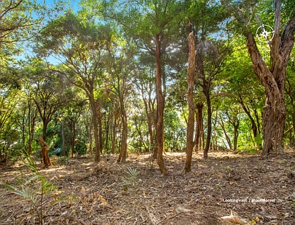 22 Albert Crescent, Ostend, Waiheke Island, 0 Bedrooms, 0 Bathrooms, Section