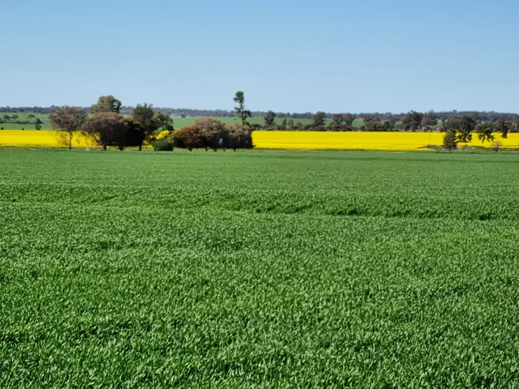 Beckom  Purchase now for the 2026 cropping season