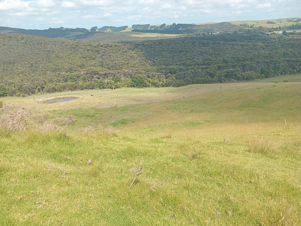Taipa  Lifestyle Farming Opportunity
