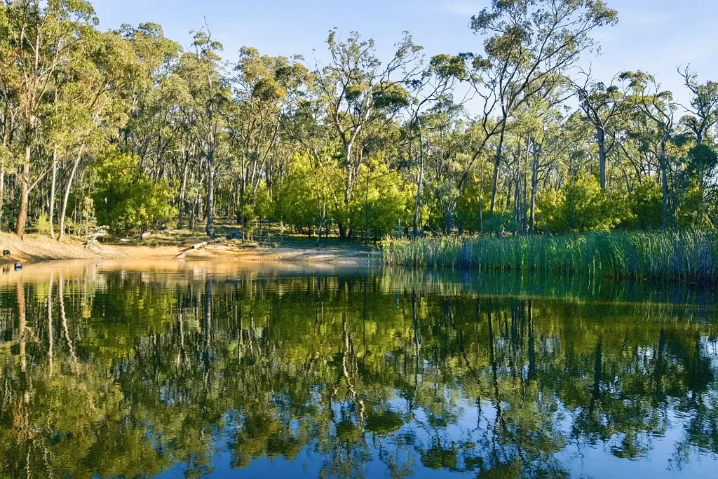 Barjarg 3બેડરૂમ Dreaming of your own private nature reserve?