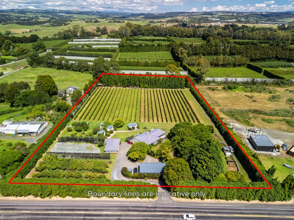 Kerikeri 6房  LIVE OFF YOUR OWN BOUNTY & WINE – HOME & INCOME
