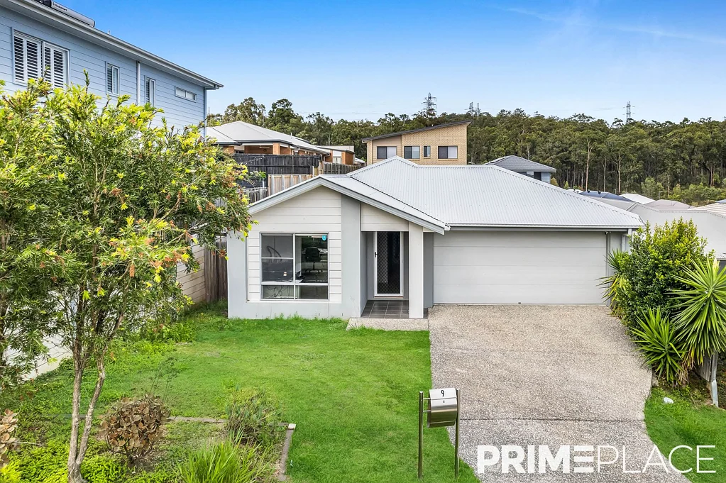 9 Sawyer Street, Spring Mountain, QLD 4300