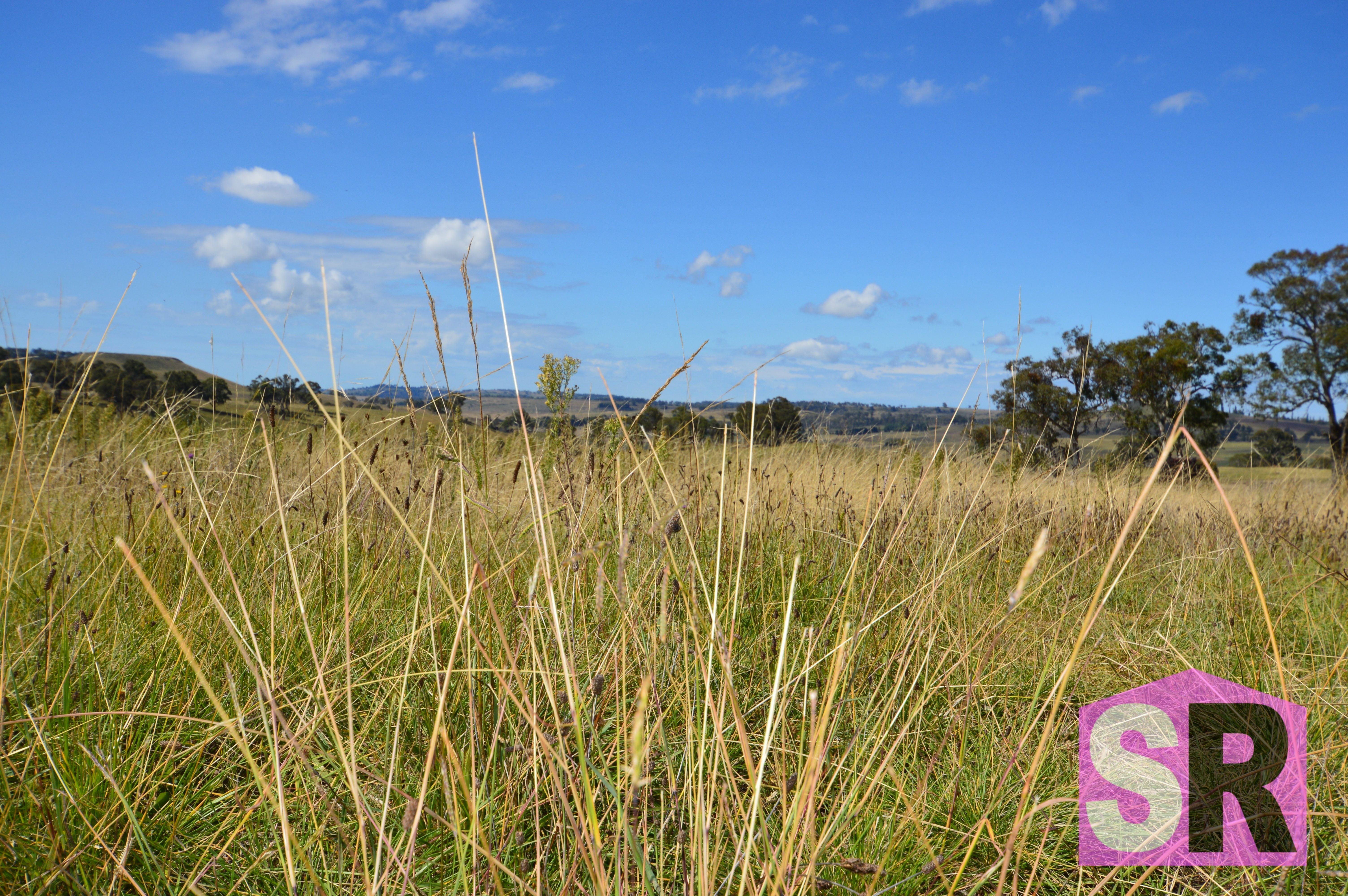 40 ELM ST, GUYRA NSW 2365, 0 ห้องนอน, 0 ห้องน้ำ, Section