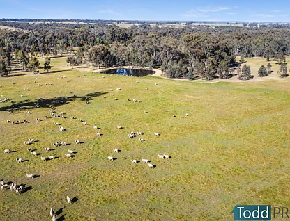 Lot 2 Murphys Lane, Toolleen, Bendigo, 0部屋, 0バスルーム, Lifestyle Property