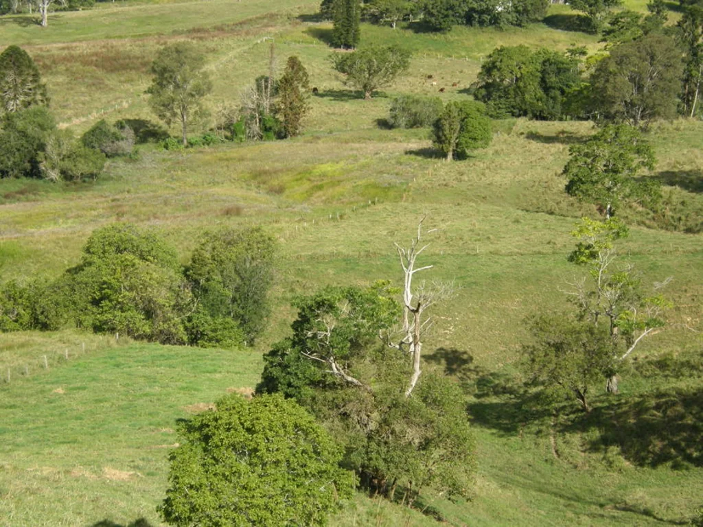 Eerwah Vale EUMUNDI RURAL