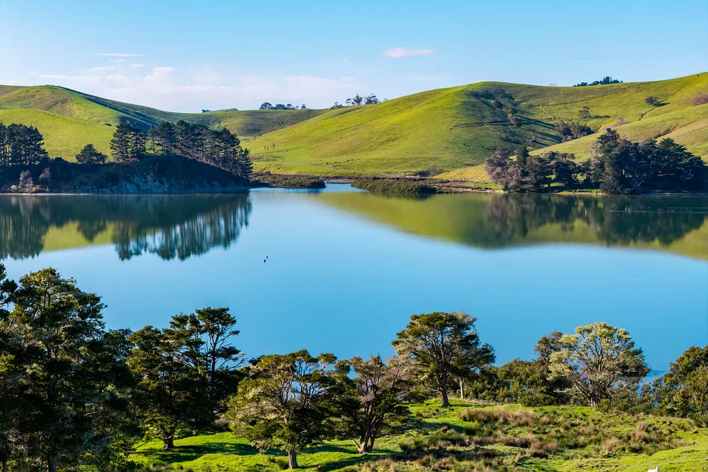 Paparoa Pahi's Crown Jewel - 4ha of Pure Coastal Paradise