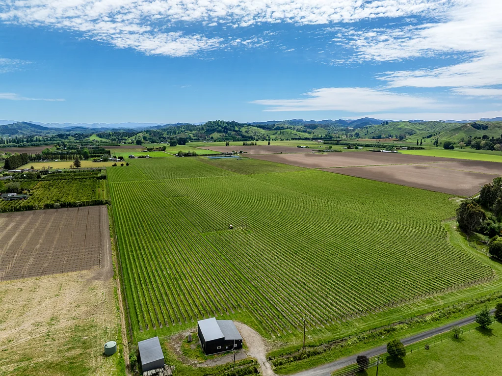 Ormond  Expansive, flat land with development options