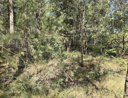 LOT 10 WOOLLAMIA ROAD, Woollamia, NSW 2540, 0 Bedrooms, 0 Bathrooms, Section