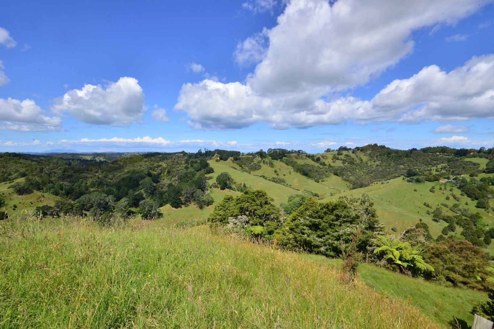 24 Grant Ridge Road, Puhoi, Auckland - Rodney, 3 Bedrooms, 0 Bathrooms