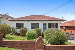 53 Minnegang Street, Warrawong