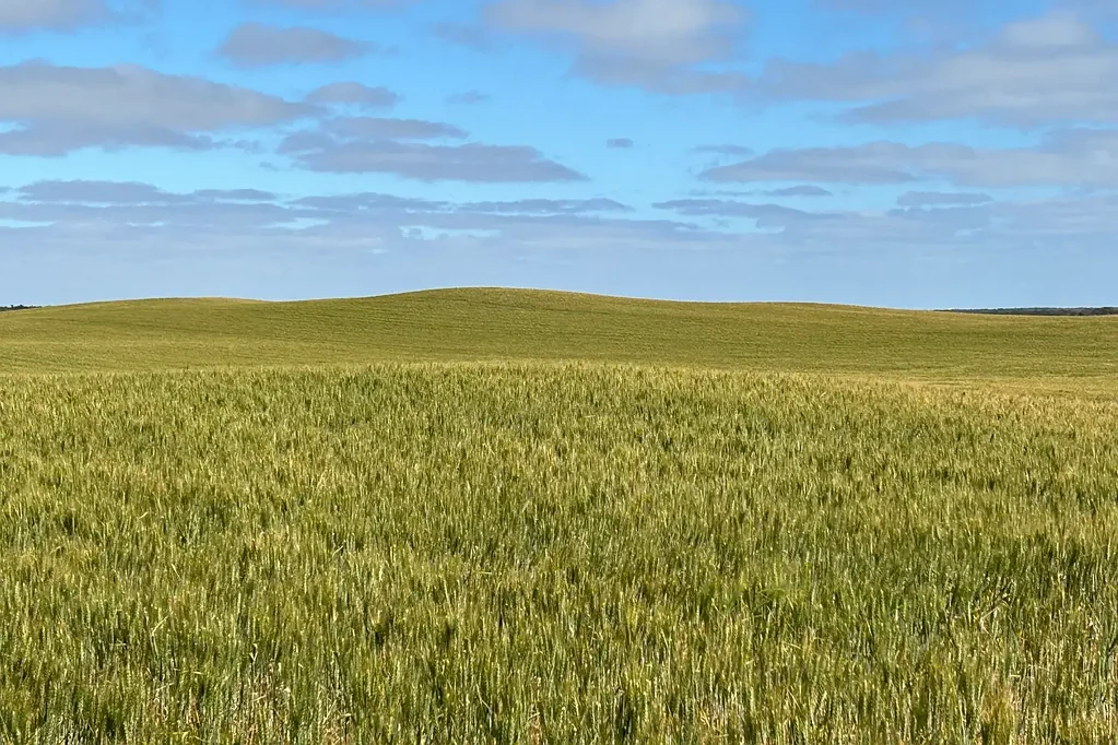 Karkoo HOME & MALCOLMS - Mixed Farming