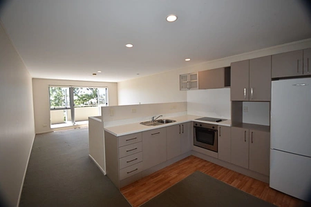Residential  Terrace Housing and Apartment Building Zone