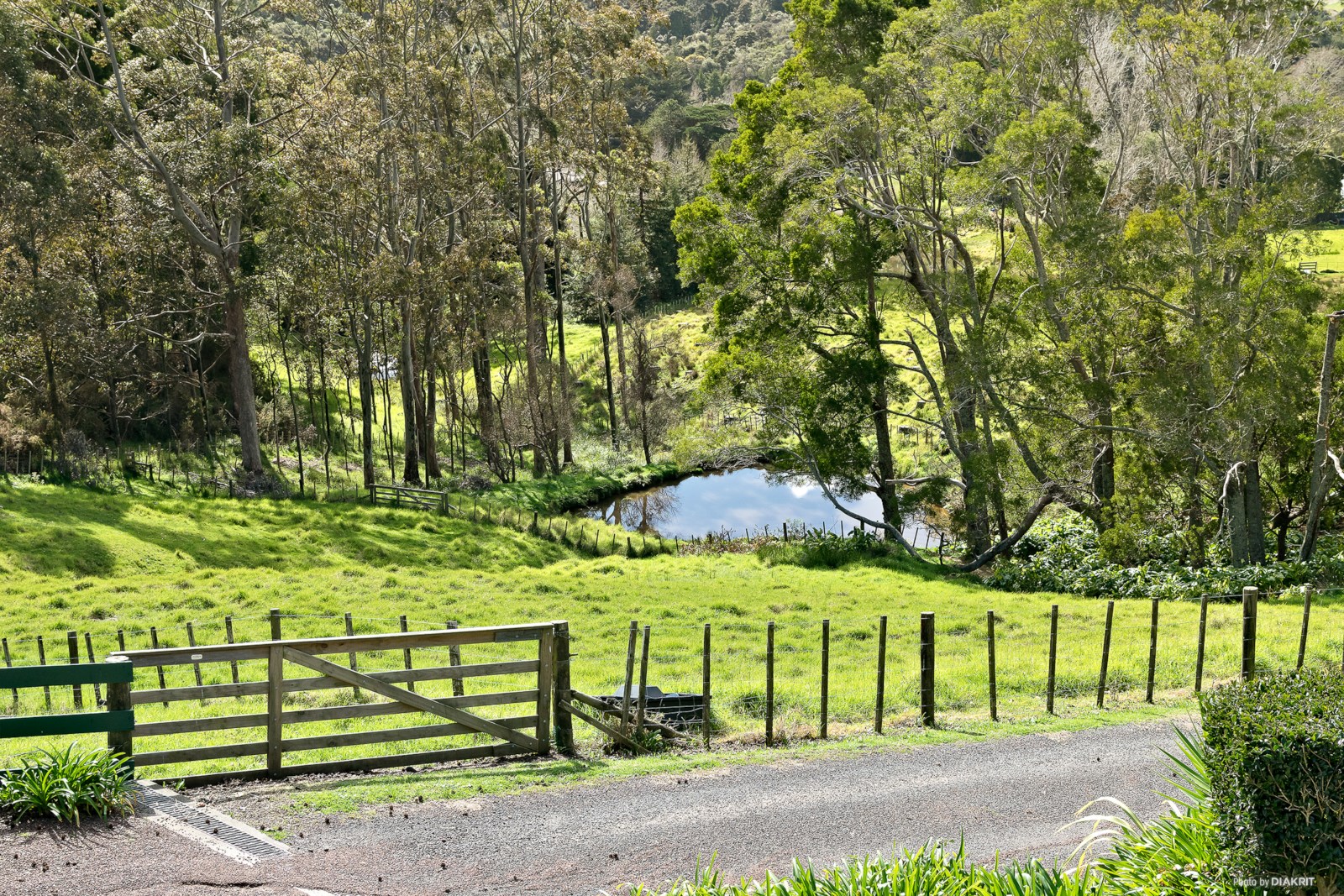 142 Mahoenui Valley Road, Coatesville, Auckland - Rodney, 4 phòng ngủ, 3 phòng tắm