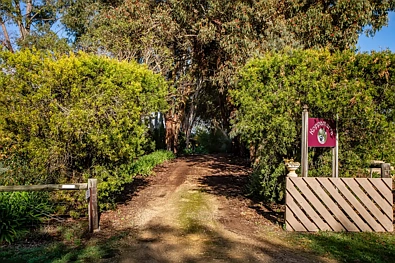 室外 - 22 WILKINS RD, NARACOORTE SA 5271