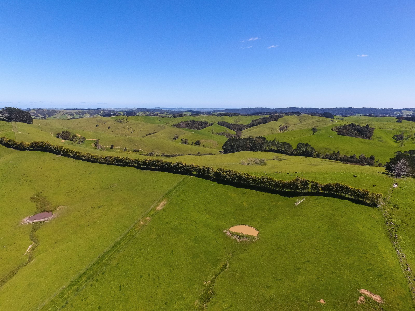 480 Peake Road, Pukemoremore, Waipa, 3 Kuwarto, 1 Banyo