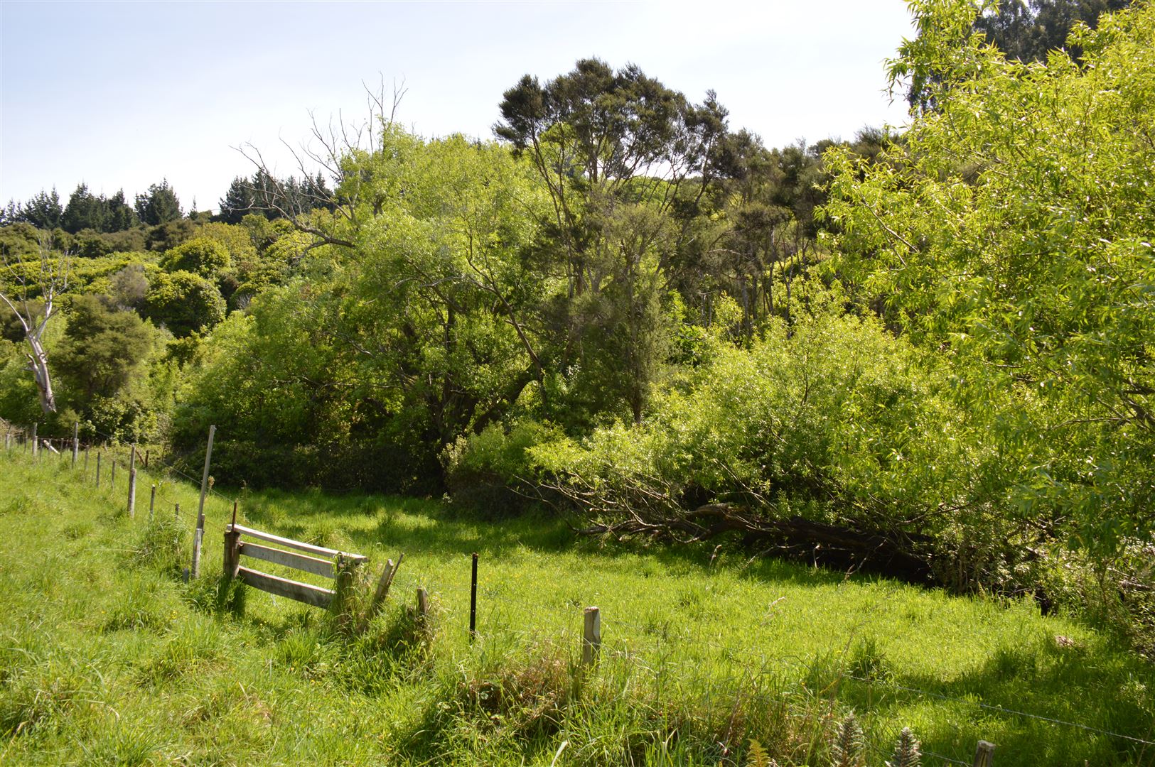 50 Le Bons Valley Road, Le Bons Bay, Christchurch, 0 Bedrooms, 0 Bathrooms