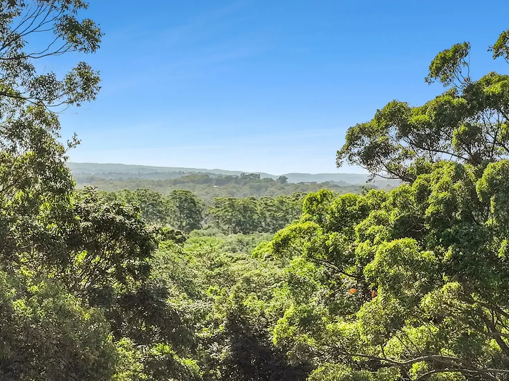 36 Riverbreeze Way, Kuluin, QLD 4558