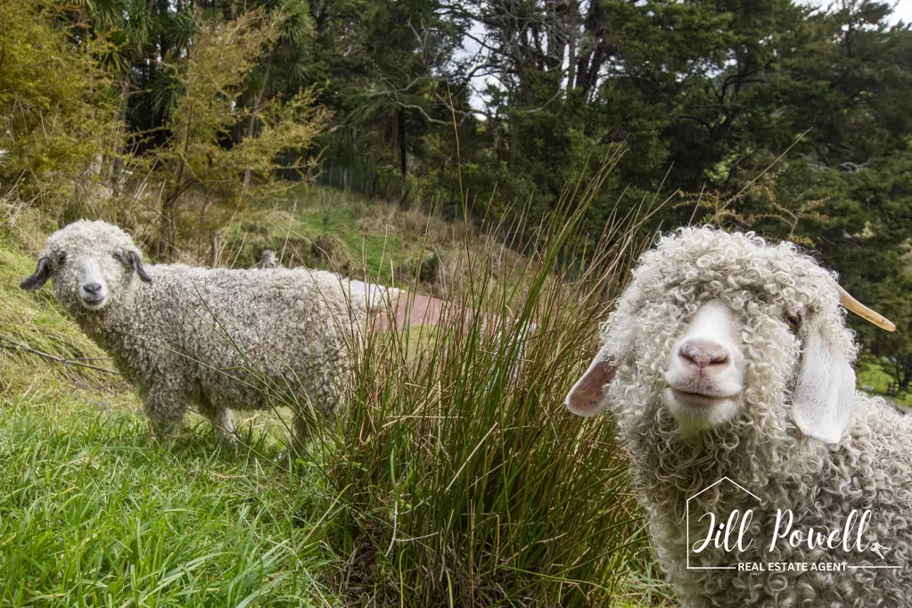 Paparoa 2房  Your Simple, Off-Grid Life Awaits Near Paparoa