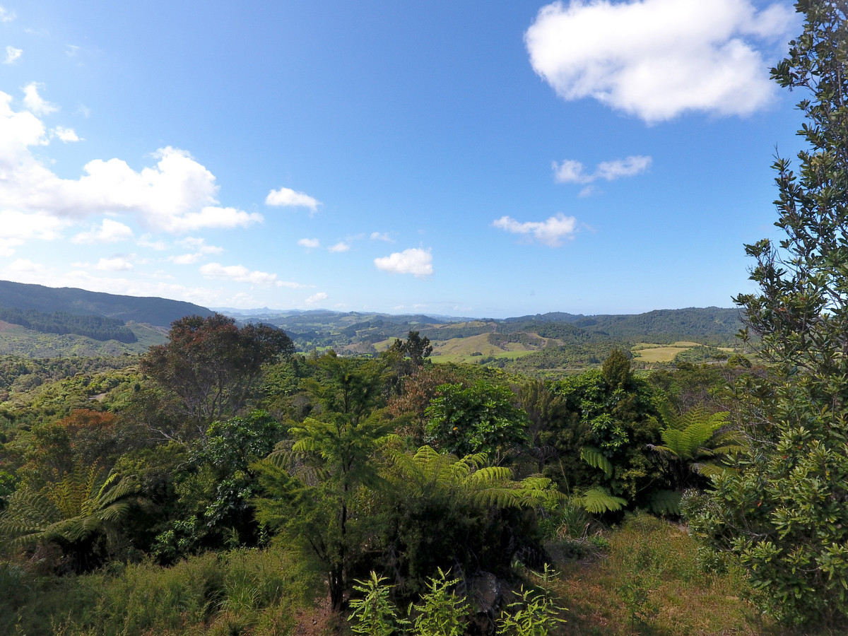 206b Silverstream Falls Row, Whenuakite, Coromandel, 0 Kuwarto, 0 Banyo