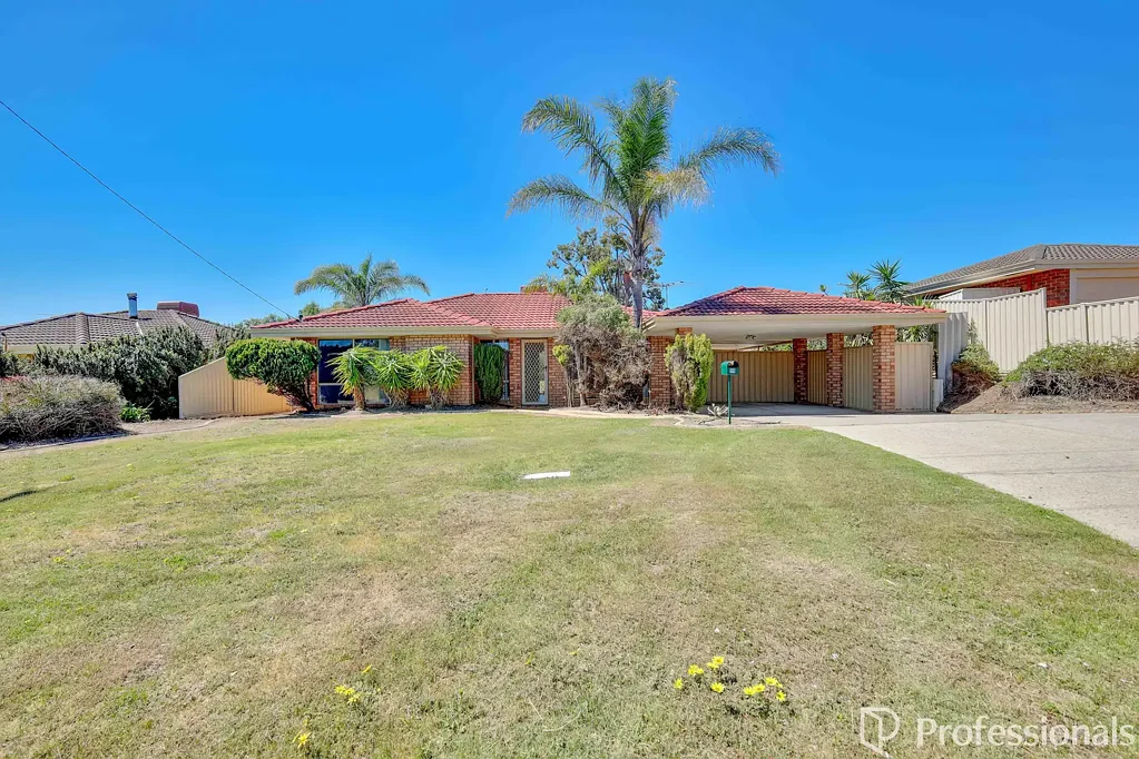 30 Torenia Way, Yangebup, WA 6164