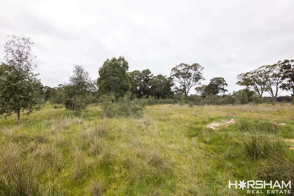Lot 45 Lot 45 Sims Lane, Homebush, VIC 3465