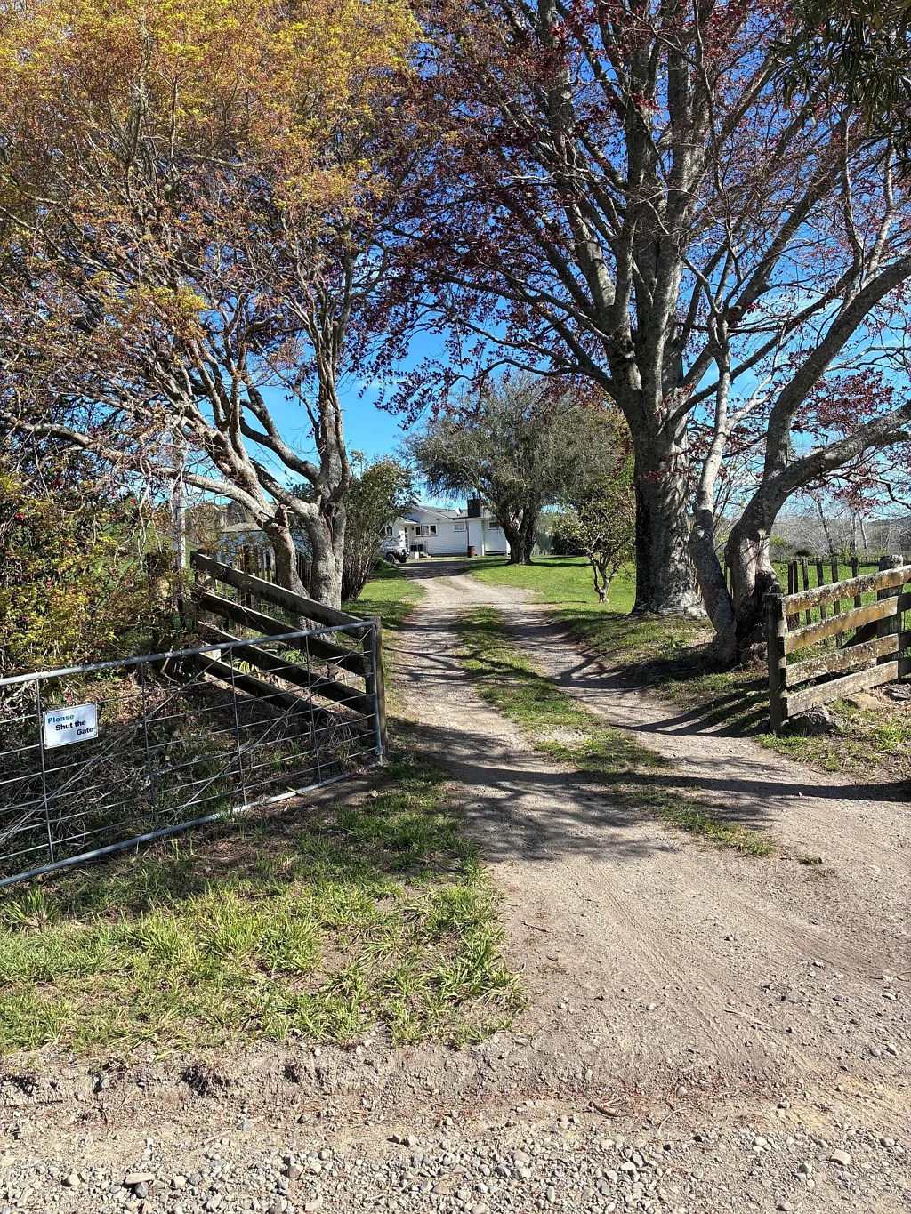 Wairoa  Prime Land Maru Maru