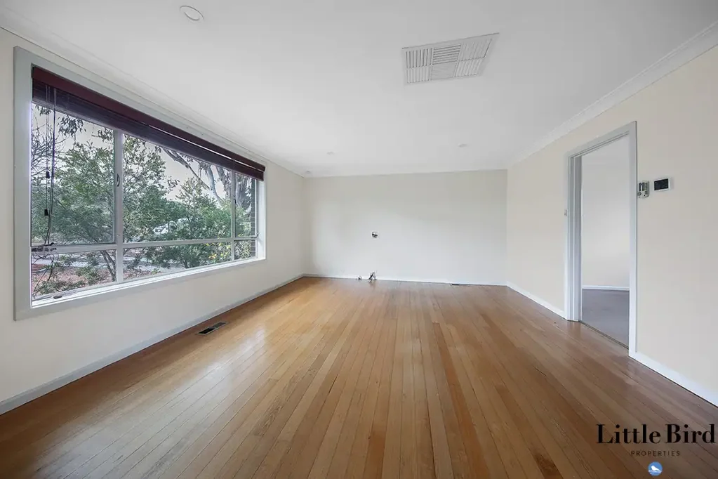 Lots of hidden surprises!