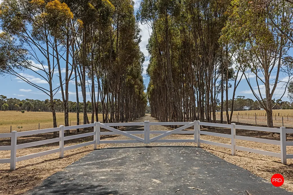 Longlea  Breathtaking 20.43 acres of Prime Land