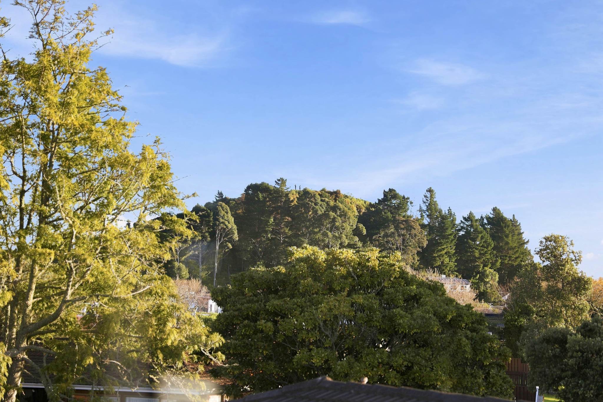 33A Jillteresa Cresent, Half Moon Bay, photo 18