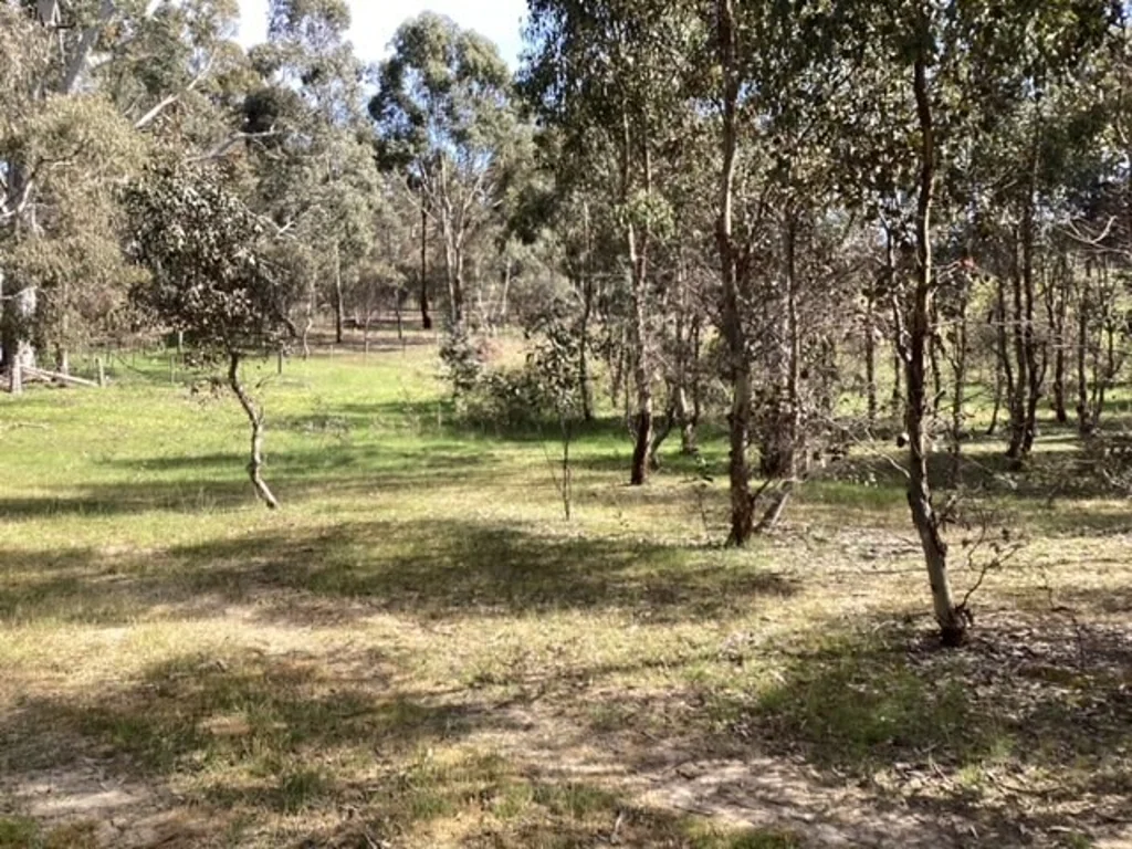 Lot 38B Lexton-Evansford Road, Evansford, VIC 3371