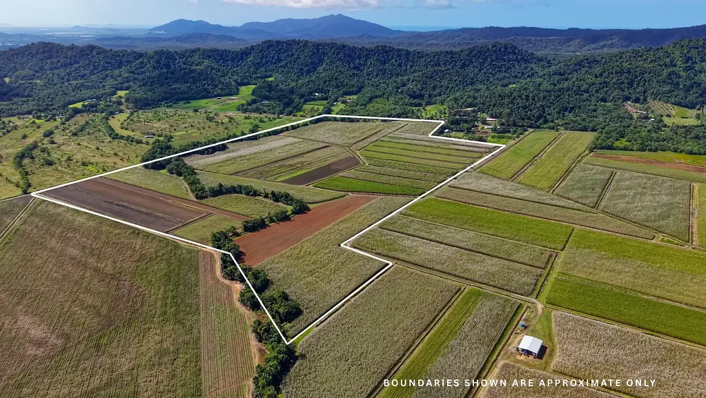 East Feluga 46.2ha of Prime Coastal Hinterland – Where Productive Farmland Meets Coastal Living