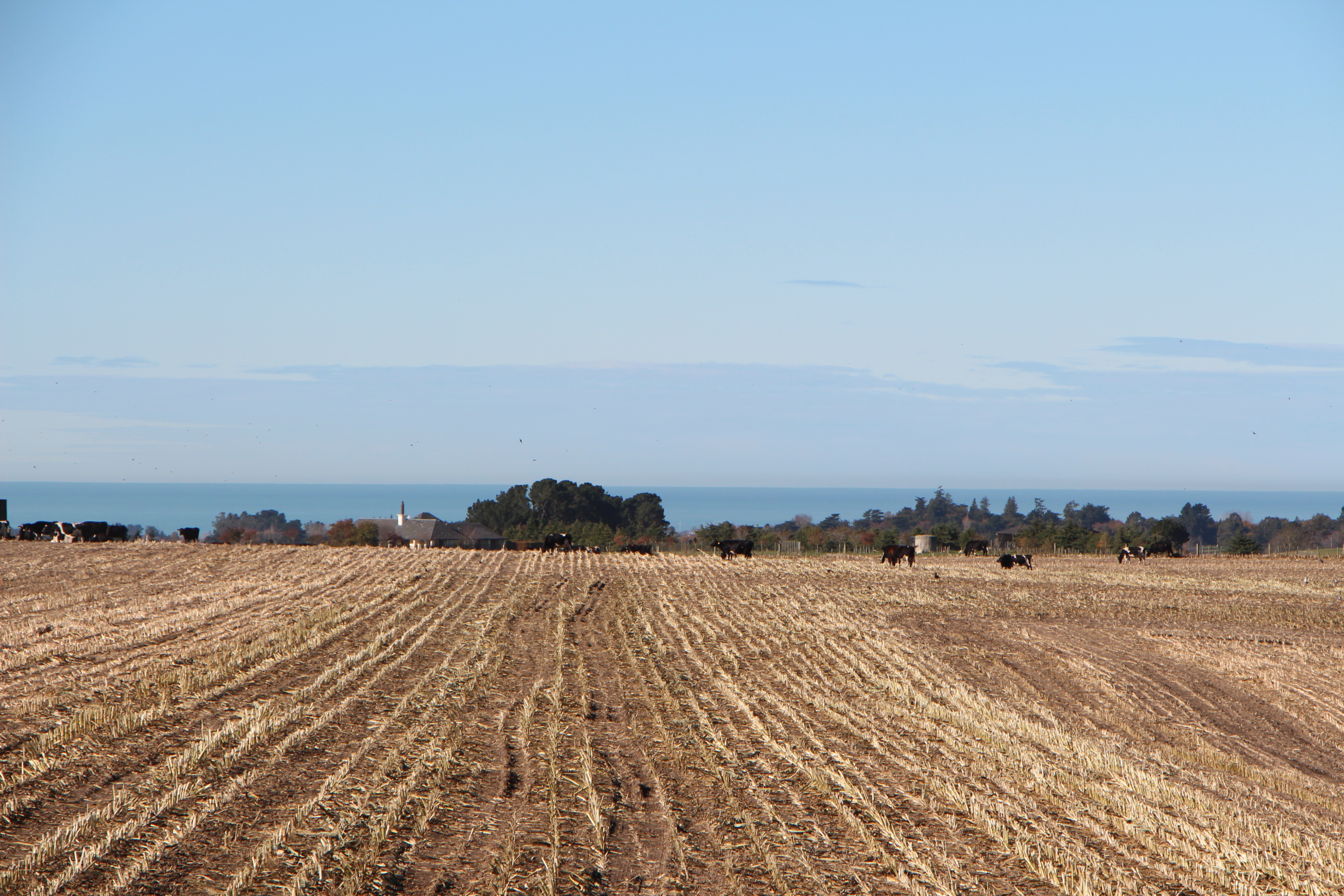 236 Spur Road, Rosewill, Timaru, 0 રૂમ, 1 બાથરૂમ, Lifestyle Section